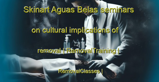 Skinart Aguas Belas seminars on cultural implications of removal | RemovalTraining | RemovalClasses | SkinartTraining-Brazil